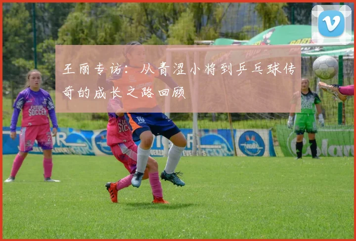 王丽专访：从青涩小将到乒乓球传奇的成长之路回顾