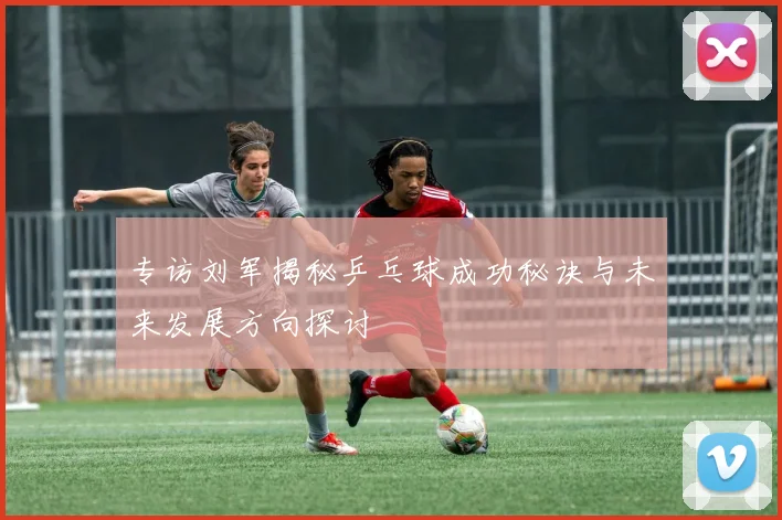 专访刘军揭秘乒乓球成功秘诀与未来发展方向探讨