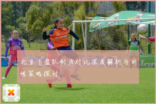 北京飞盘队耐力对比深度解析与训练策略探讨